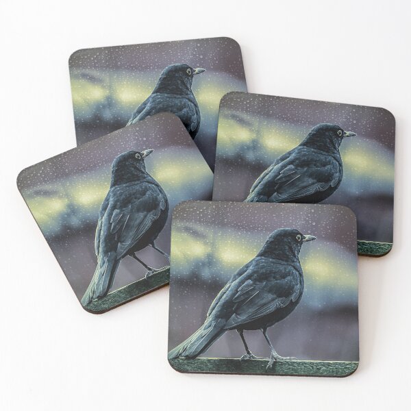 Item preview, Mr Blackbird In The Rain designed and sold by AJEvans.