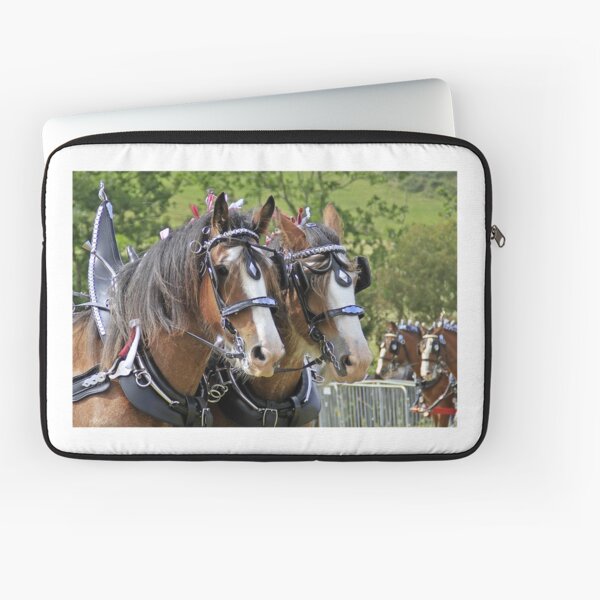Aperçu de l'œuvre Chevaux Clydesdale - Paire de conduite créée et vendue par Richenda.