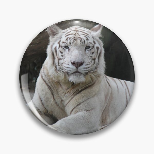 Item preview, White Tiger 3 designed and sold by LeanneAllen.