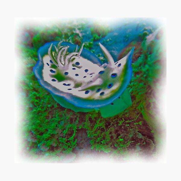 ERMINTRUDE Photographic Print