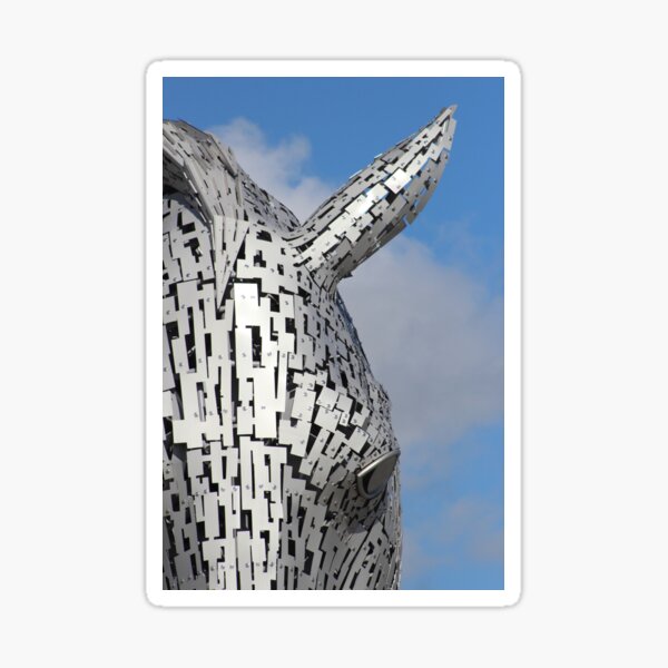 Close up of a Kelpie Sticker