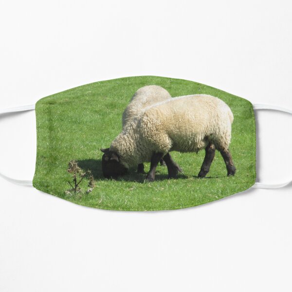 Merch #76 -- Sheep - Shot 2 (Hadrian's Wall) Mask