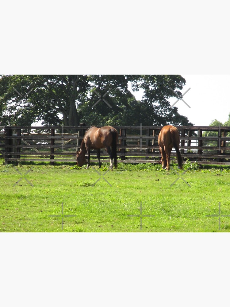 M.I. #74 |☼| Horses - Shot 1 (Hadrian's Wall) by Naean