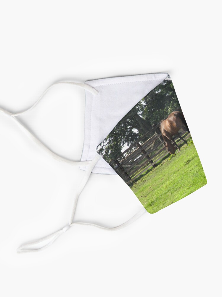 Alternate view of M.I. #74 |☼| Horses - Shot 1 (Hadrian's Wall) Mask