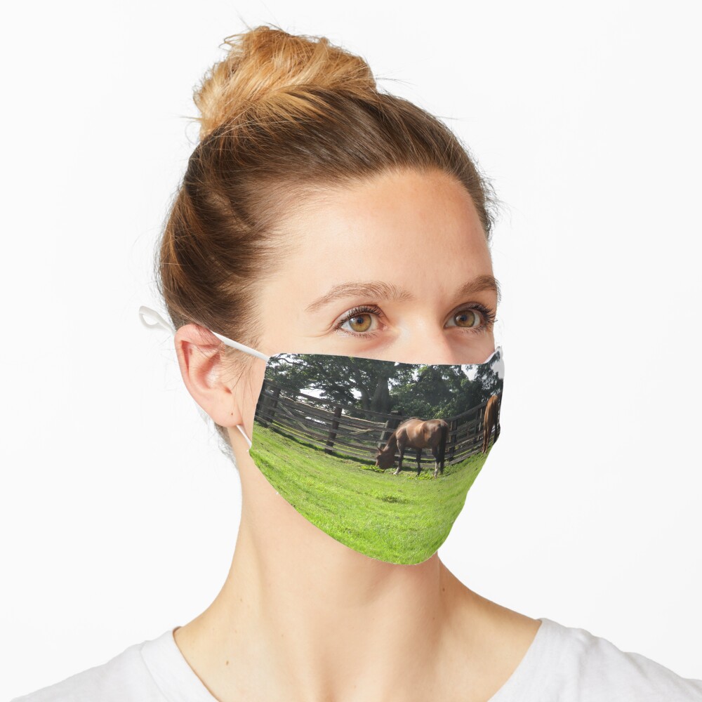 M.I. #74 |☼| Horses - Shot 1 (Hadrian's Wall) Mask