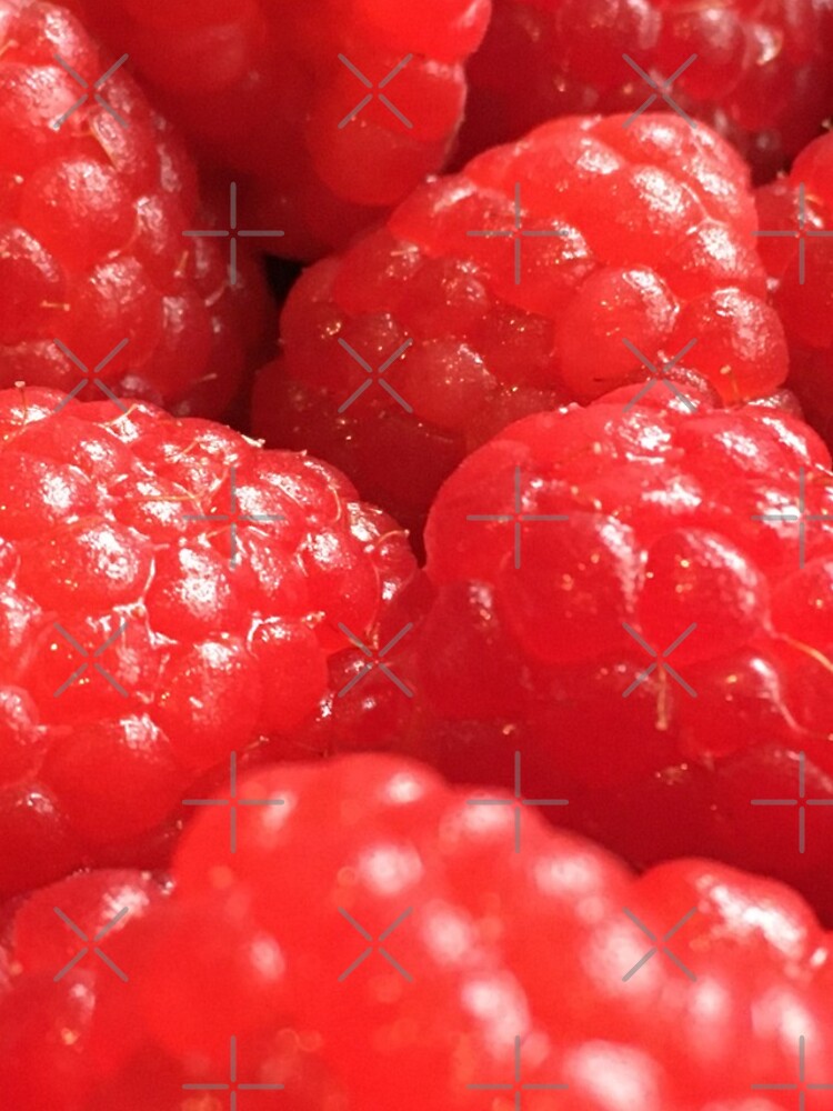 Red Raspberries by RyanDraws