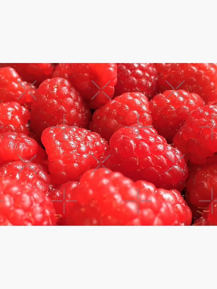Red Raspberries by RyanDraws