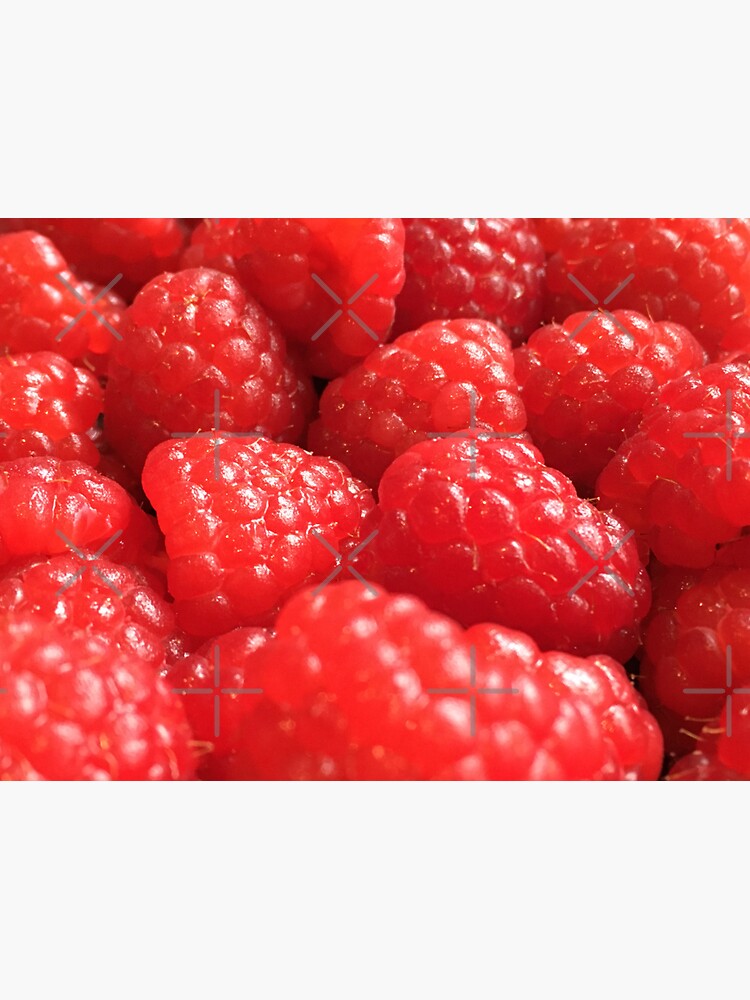 Red Raspberries by RyanDraws