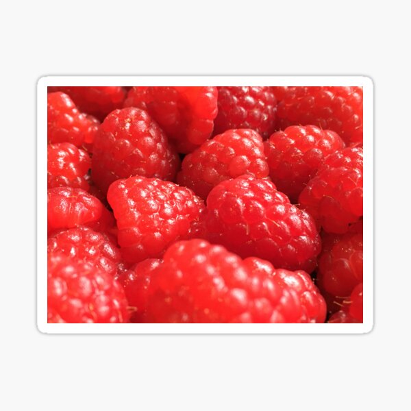 Red Raspberries Sticker