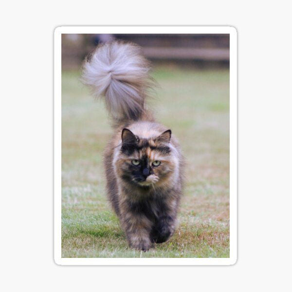Bella Means Business Sticker