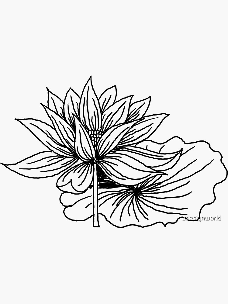 Line Drawing Essentials: How to Draw Flowers in 5 Simple Steps | Andie  Lopes | Skillshare