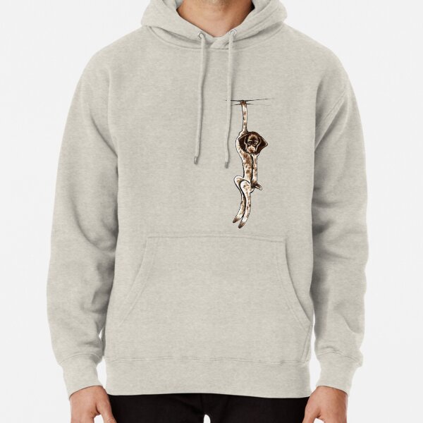 sweaters for german shorthaired pointers