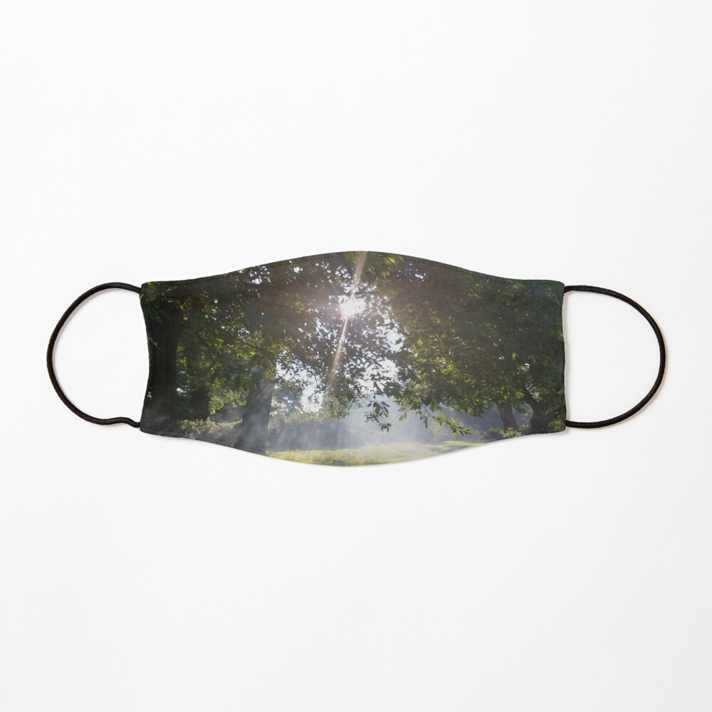 Merch #11 -- Smoky Tree Sun Rays - Landscape Shot (Pearson Park) Mask