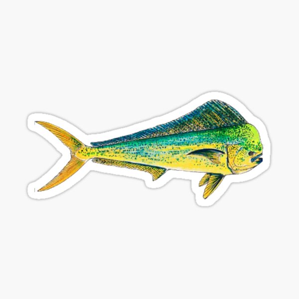 Mahi- Mahi - Dorado - Dolphi Sticker