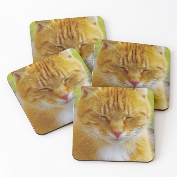 Item preview, Cute catface designed and sold by Treemonk.