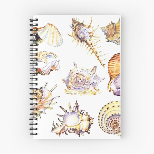 Item preview, Sea shells set collection designed and sold by Zavyalova-art.