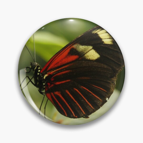 Item preview, Postman Longwing designed and sold by Adam Bykowski.