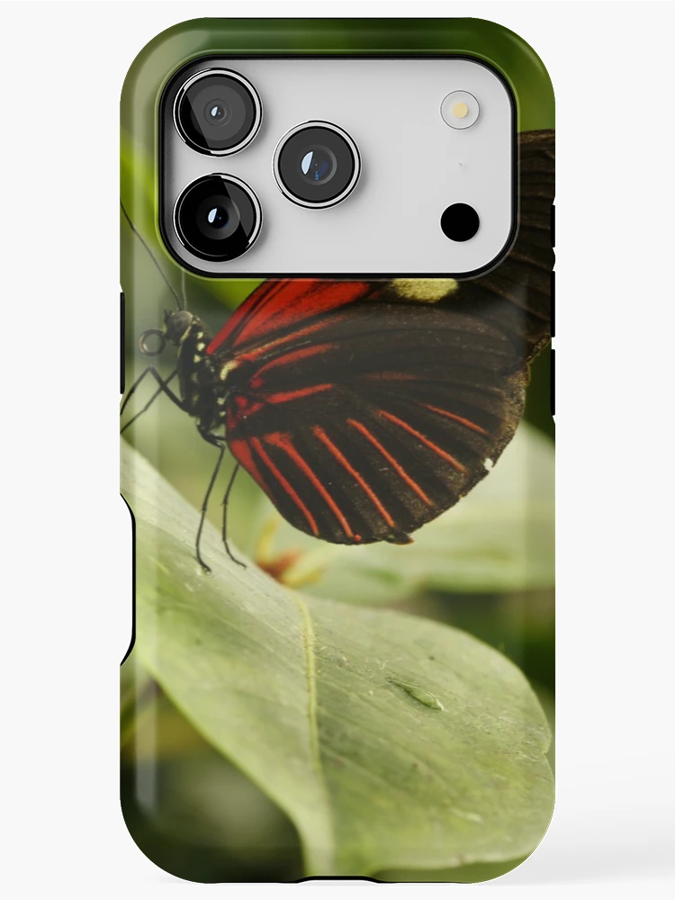 Thumbnail 1 of 4, iPhone Case, Postman Longwing designed and sold by Adam Bykowski.
