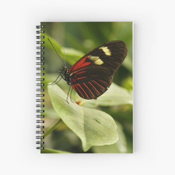 Item preview, Postman Longwing designed and sold by Adam Bykowski.
