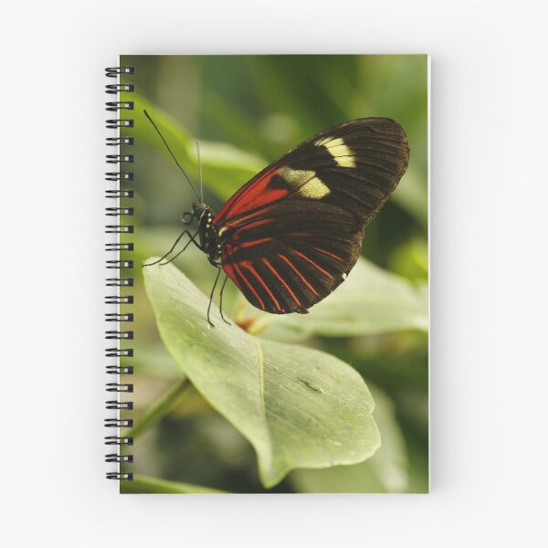 Item preview, Postman Longwing designed and sold by Adam Bykowski.