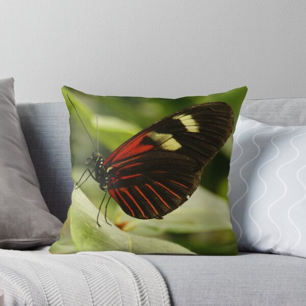 Item preview, Postman Longwing designed and sold by Adam Bykowski.
