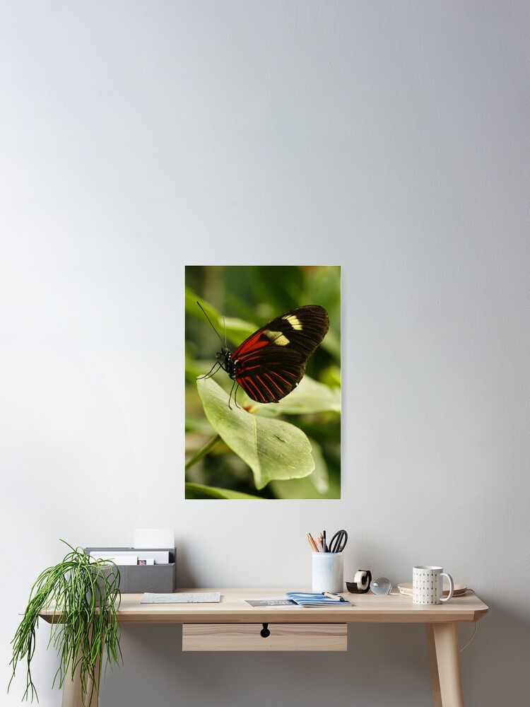 Thumbnail 2 of 3, Poster, Postman Longwing designed and sold by Bykowski.