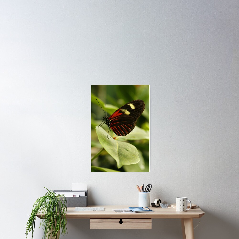 Item preview, Poster designed and sold by Bykowski.