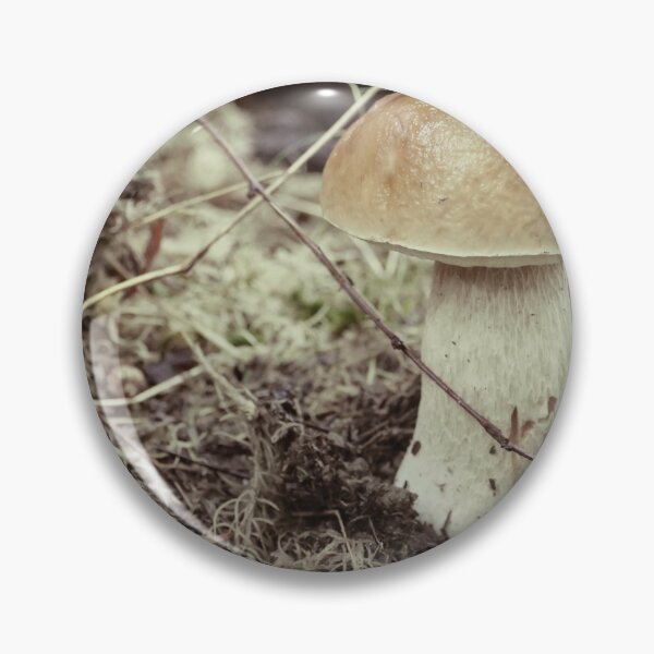 Item preview, Boletus Edulis close to designed and sold by mrivserg.