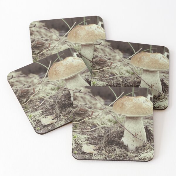 Item preview, Boletus Edulis close to designed and sold by mrivserg.