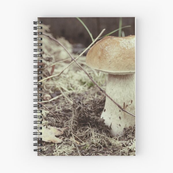 Item preview, Boletus Edulis close to designed and sold by mrivserg.