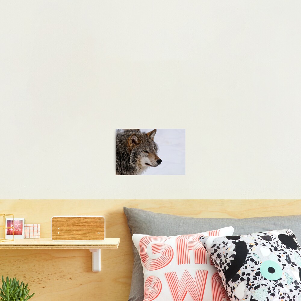 Vista previa del artículo con la obra «Lámina fotográfica», diseñado y vendido por WolvesOnly.