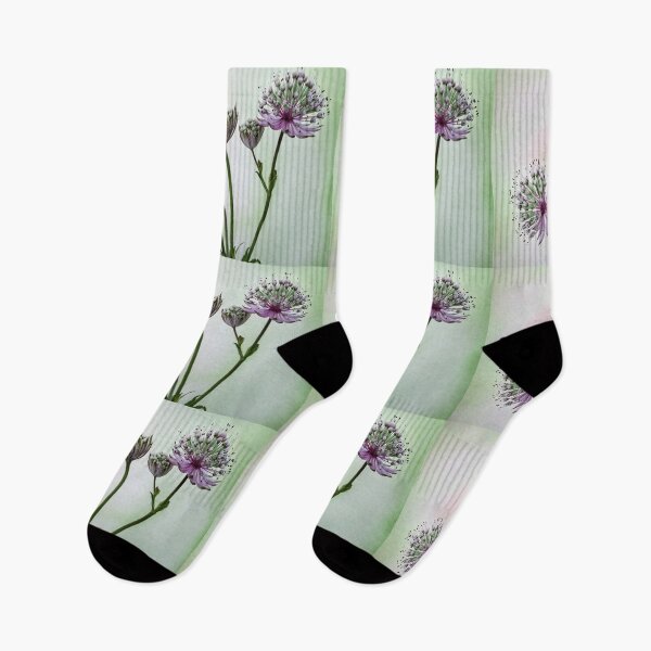 Item preview,  Astrantia in bloom. designed and sold by John Ray.