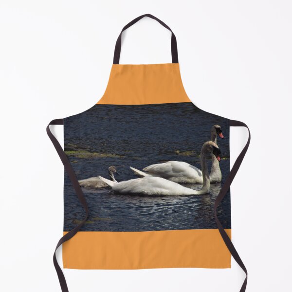Item preview, A Family of Swans on the Lake at Berrington Hall, Leominster designed and sold by GoNatureDesigns.
