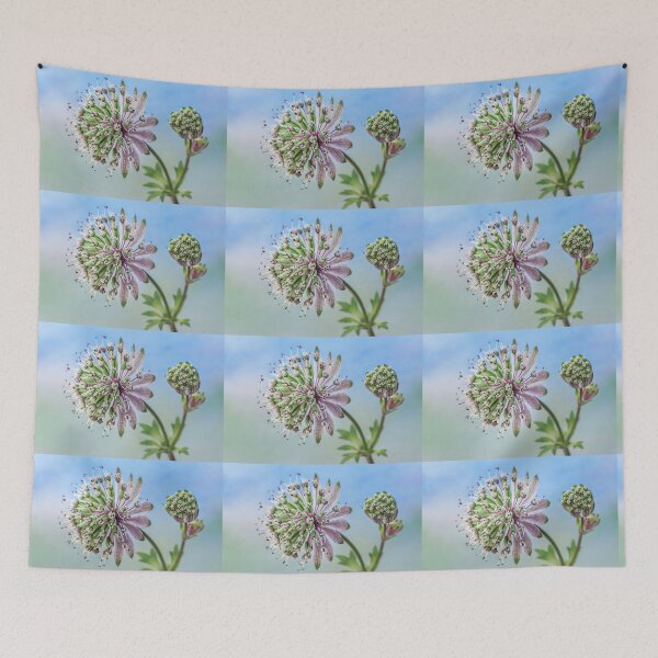 Item preview,  Astrantia and Bud designed and sold by John Ray.
