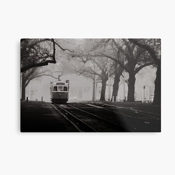 Tram Under the Elms Metal Print