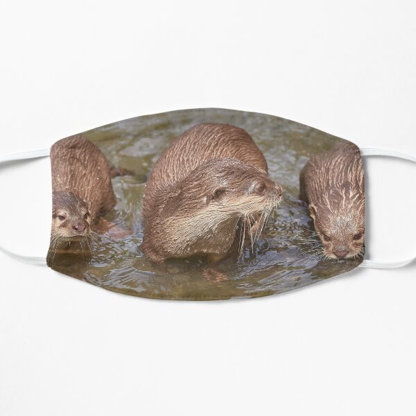 Otters Wet Your Whiskers Flat Mask