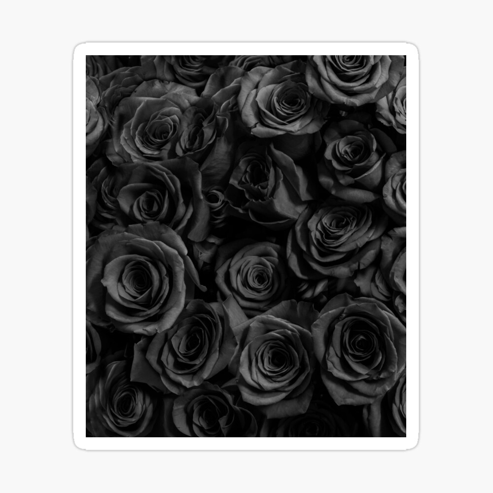 Gothic Black Roses Gothic Black Roses