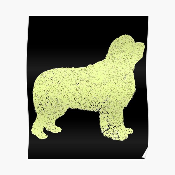 Newfoundland Dog Poster