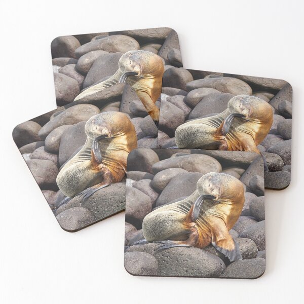 Item preview, Sea Lion Scratch That Itch designed and sold by Doug King.