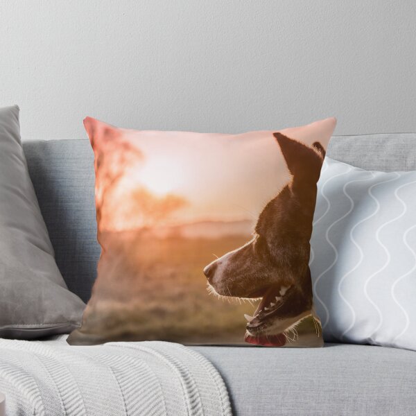 Item preview, Akita Inu and sunset, dog photo designed and sold by Stéphane  Thirion.
