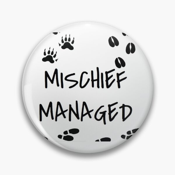 Mischief Pin
