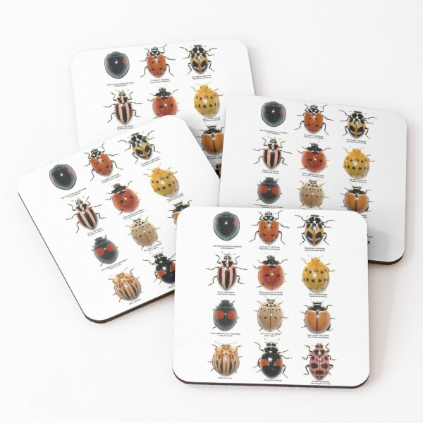 Item preview, BUGS, BEETLES LADYBIRDS designed and sold by Shedbetters.