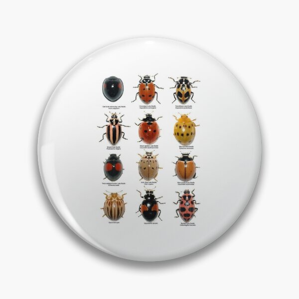 Item preview, BUGS, BEETLES LADYBIRDS designed and sold by Shedbetters.
