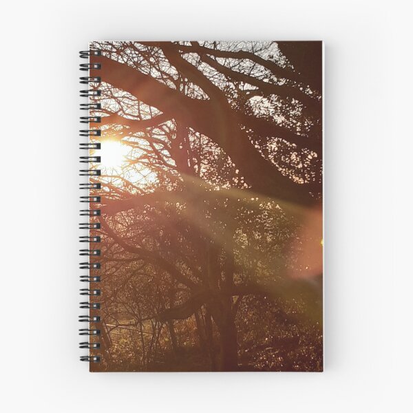 Item preview, Winter trees in the sunset.  designed and sold by Emma  Amies.