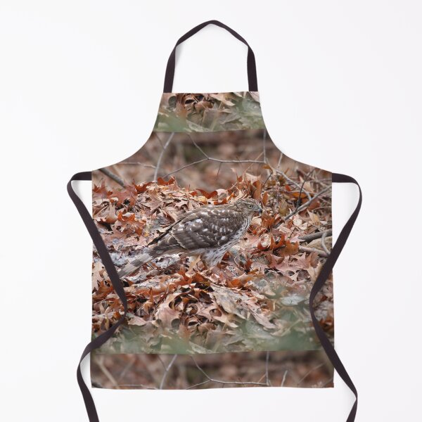 Item preview, Coopers Hawk designed and sold by J Rier Photography.