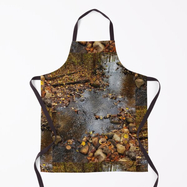 Artikelvorschau, Stream in Herbstfarbe entworfen und verkauft von J Rier Photography.