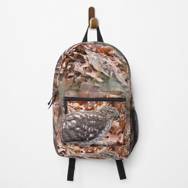 Item preview, Coopers Hawk designed and sold by J Rier Photography.
