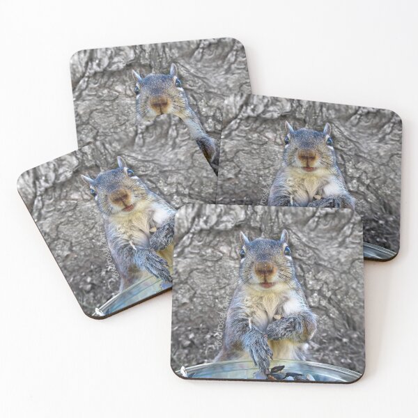 Item preview, Ostdrossel Squirrel designed and sold by Ostdrossel Shop.