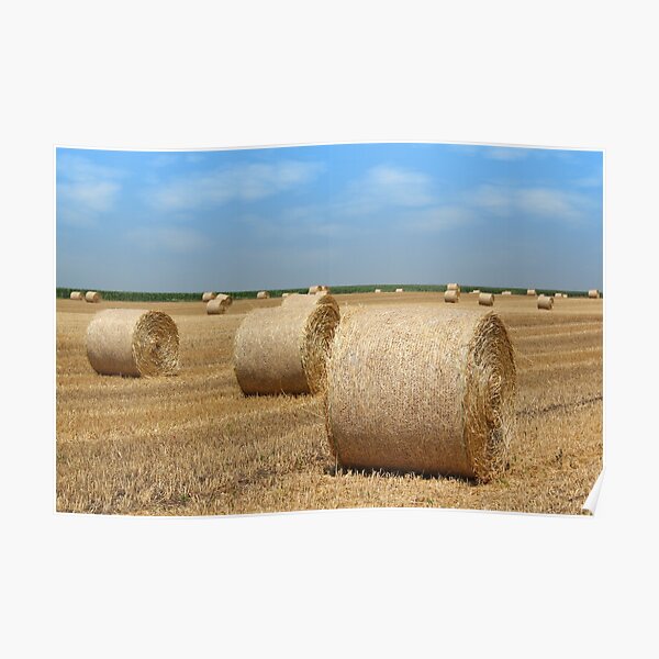 straw bales agriculture industry Poster