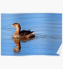 Pie Bill Grebe Poster
